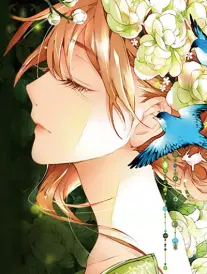 漫画在线《玻璃巷的猫》下拉式阅读